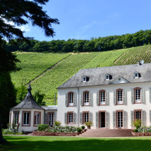 Elegantes Herrenhaus mit Weinberg im Hintergrund.